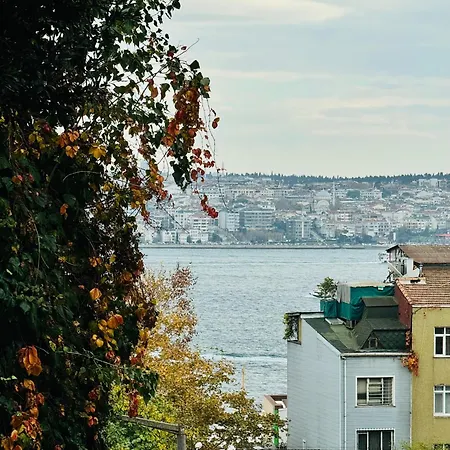 с видом на босфор * Provincia di Istanbul